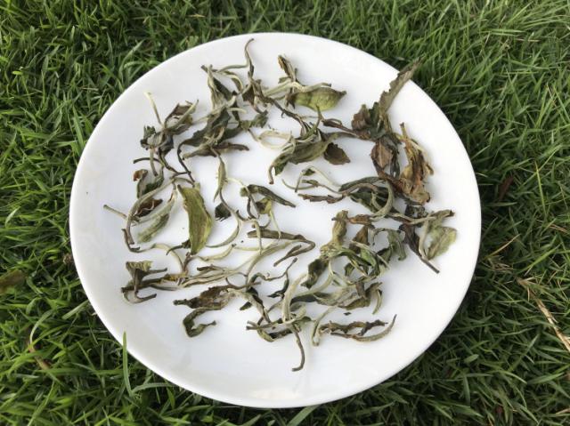 茶能吃吗（莓茶吃了有什么效果）